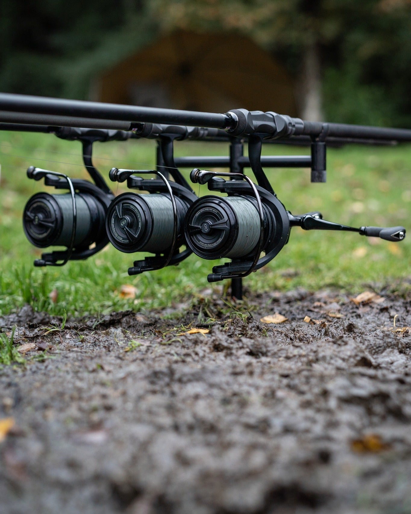 Daiwa 19 Basia 45 SCW QD