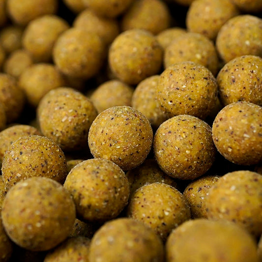 Munch Baits Citrus Nut Boilies 5kg