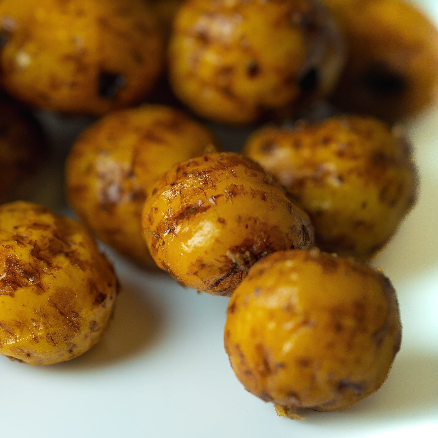 Hinders Large Tiger Nuts