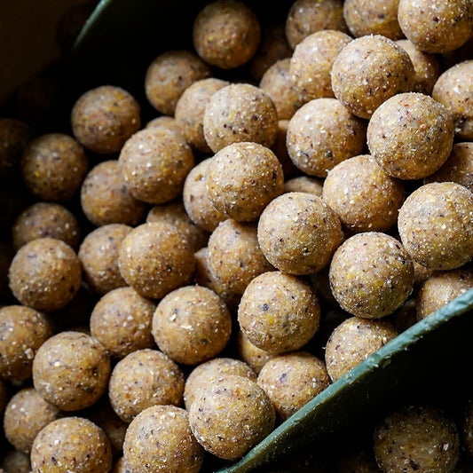 Munch Baits Cream Seed Boilies 5kg
