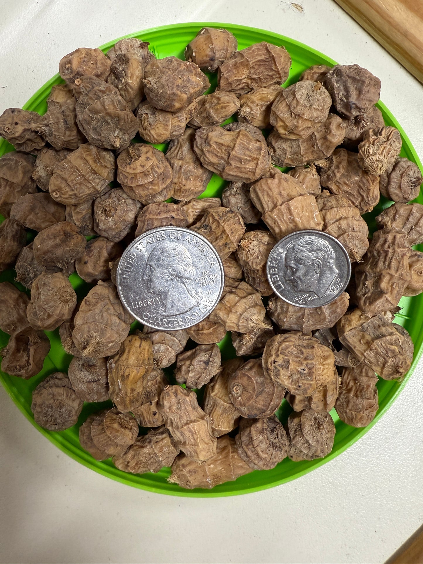 BCT XXL Tiger Nuts