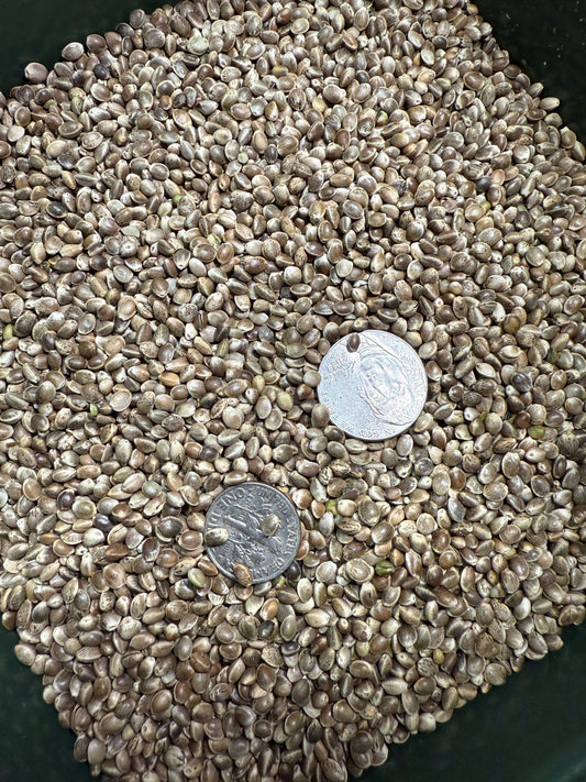 BCT Hemp Grain