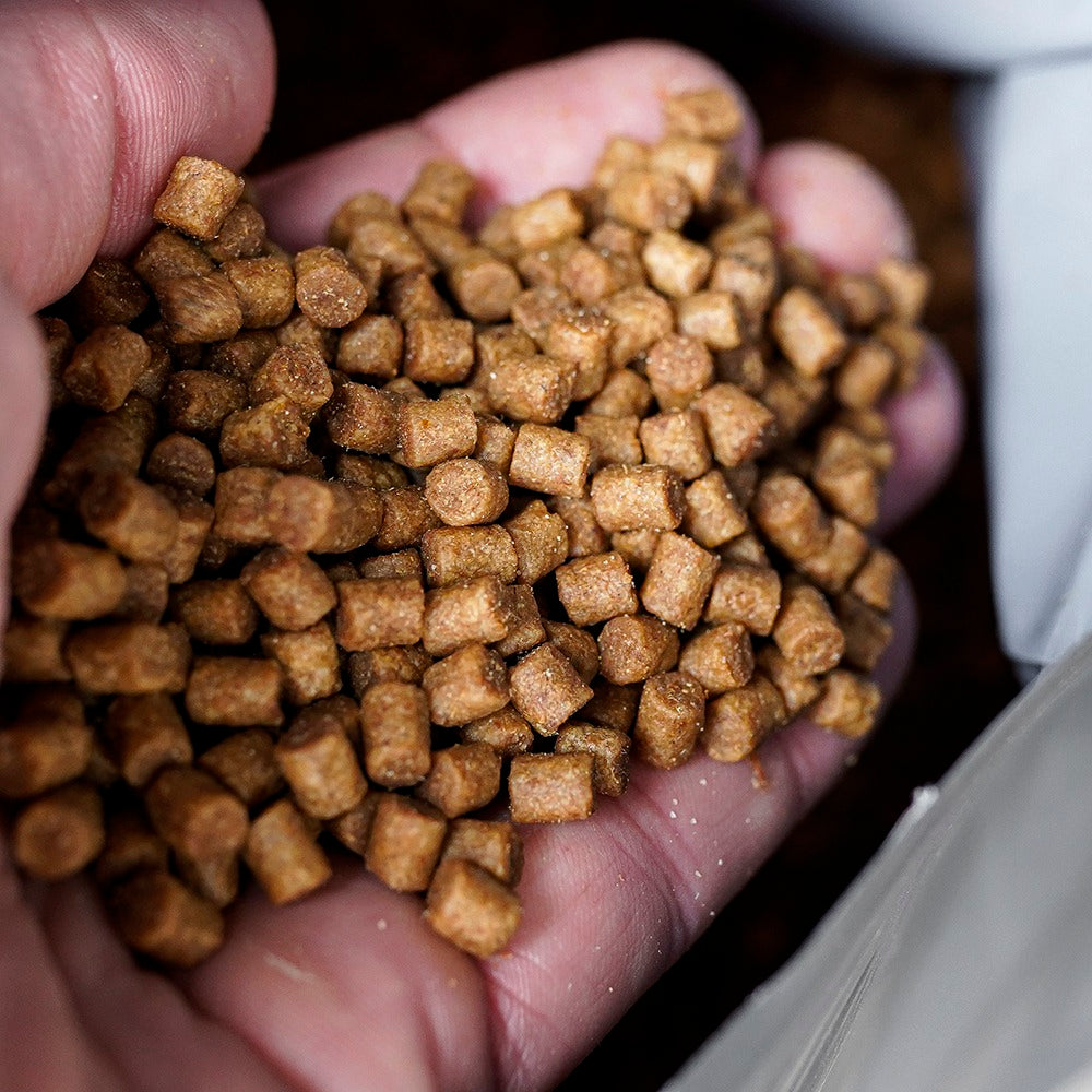 Munch Baits Krill Gold Boilie Range