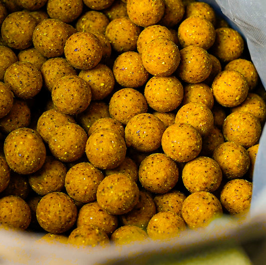 Munch Baits Double Strength Pineapple Boilies 5kg