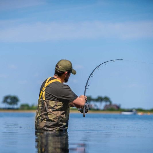 Avid Revolve Carp Rods