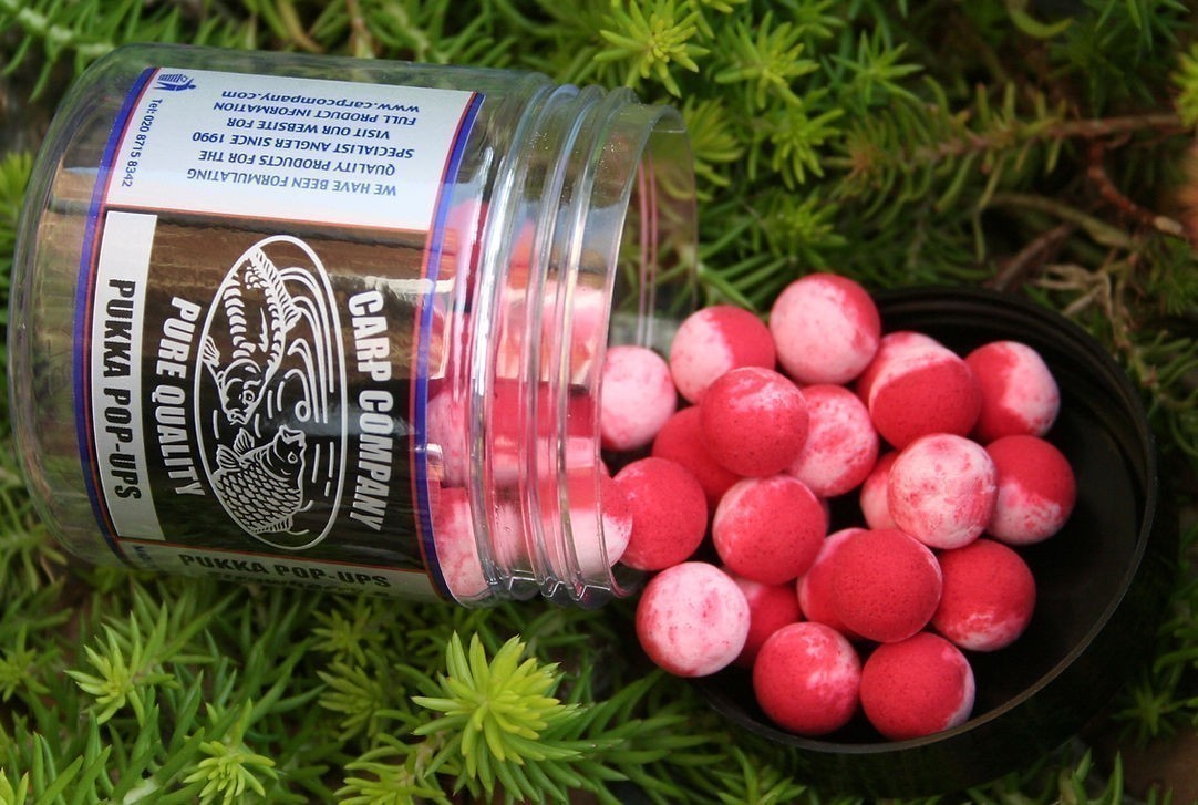 Carp Company Condensed Milk 16mm Popups