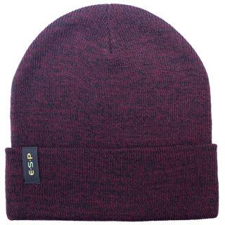 ESP Beanie Hats