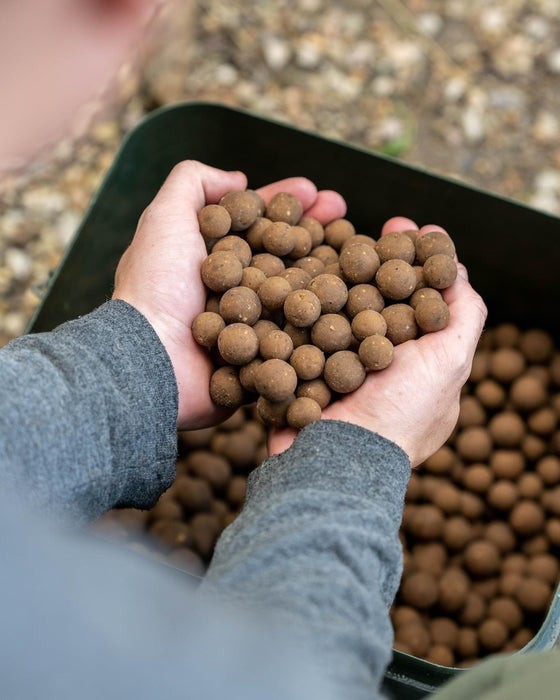 Nash Scopex Squid Boilies