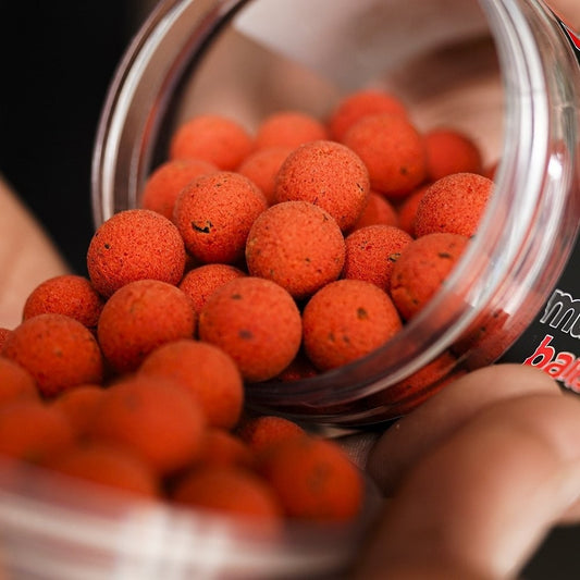 Munch Baits King Crab Hookbaits