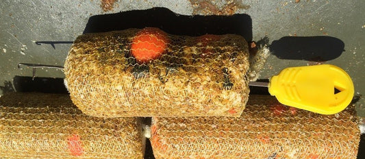 Ambush Stick/Stringer Needle