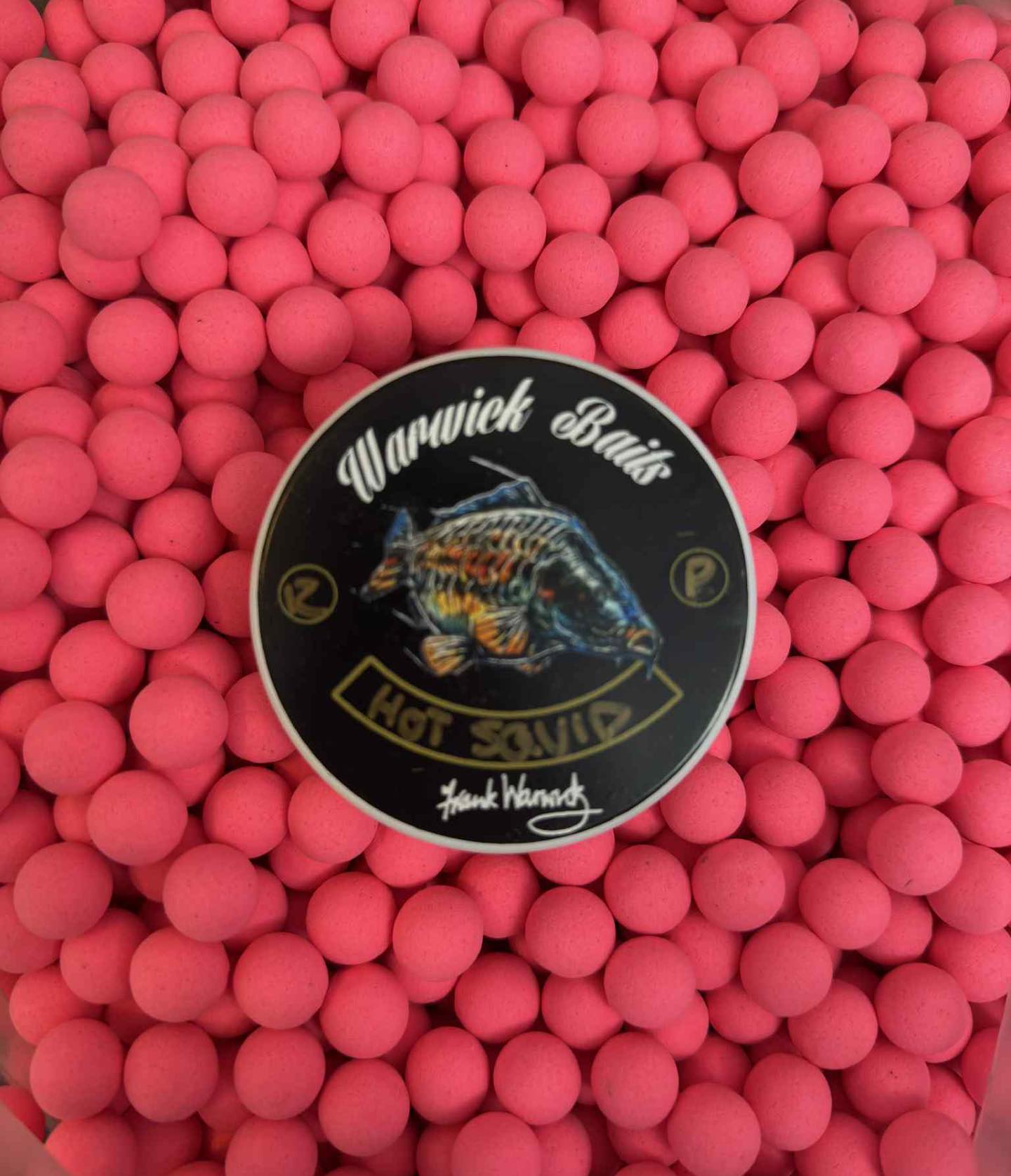 Warwick Baits Hot Squid Hookbaits