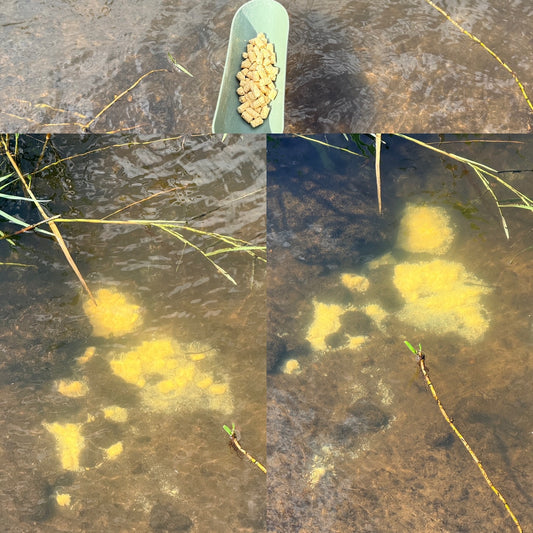 BCT Corn Pellets 1kg