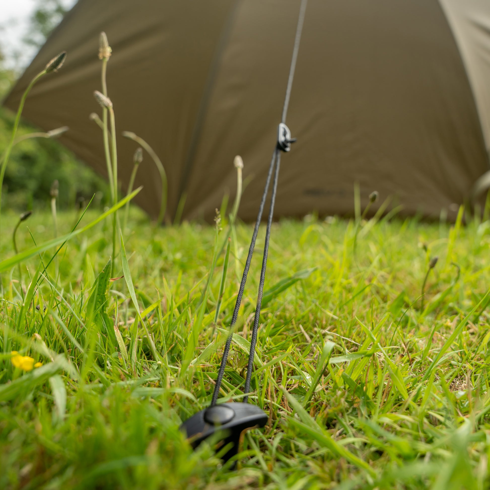 Avid Revolve 60in Day-Session Brolly