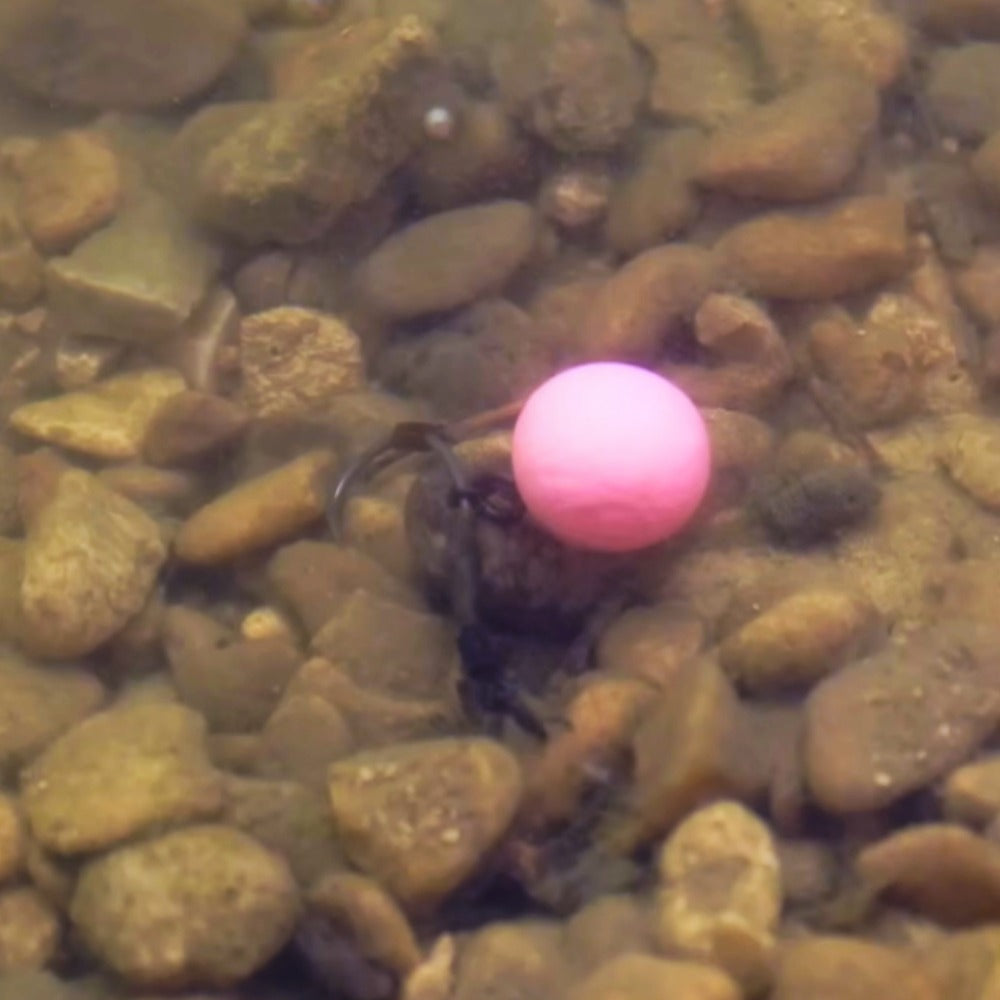 Dynamite Baits Fluro Pop-Downz Hookbaits