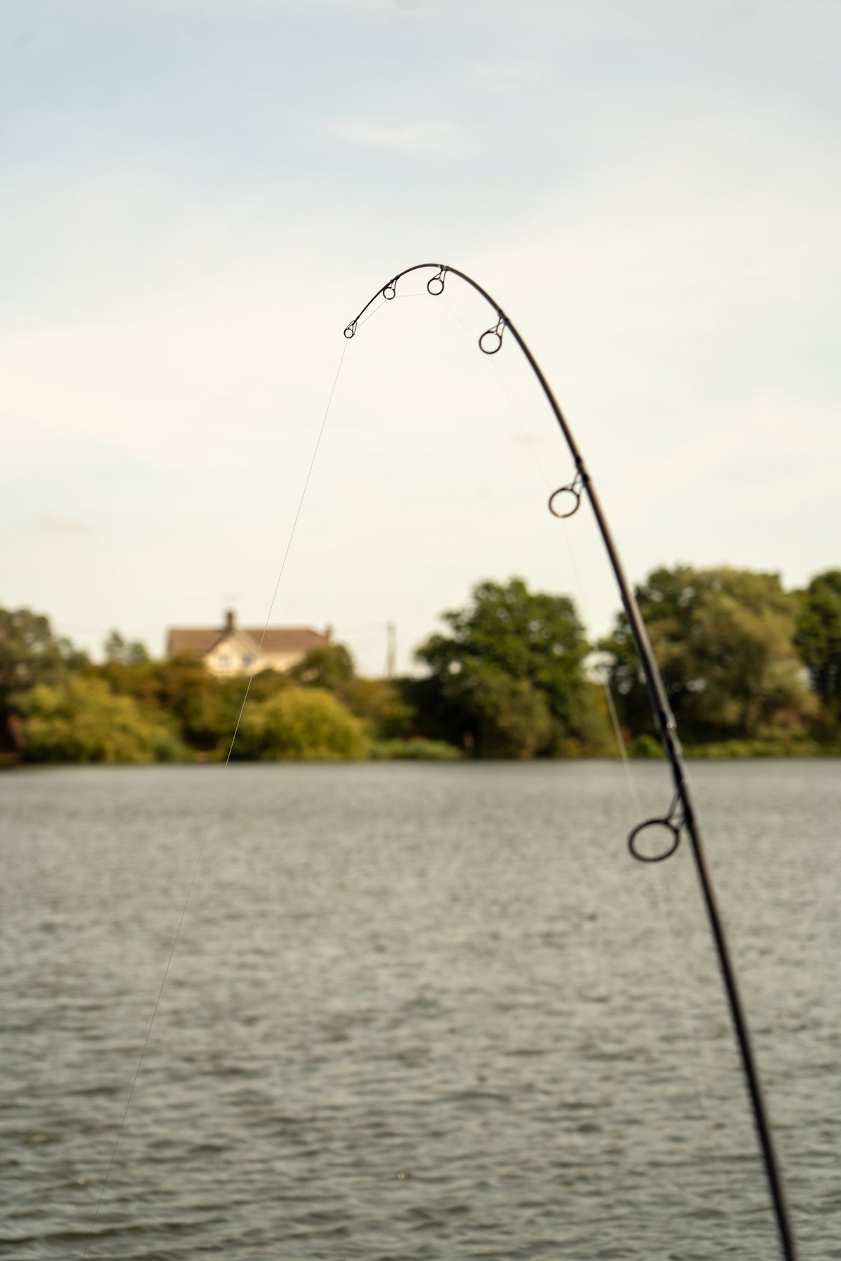 One More Cast Black Pearl Carp Rod