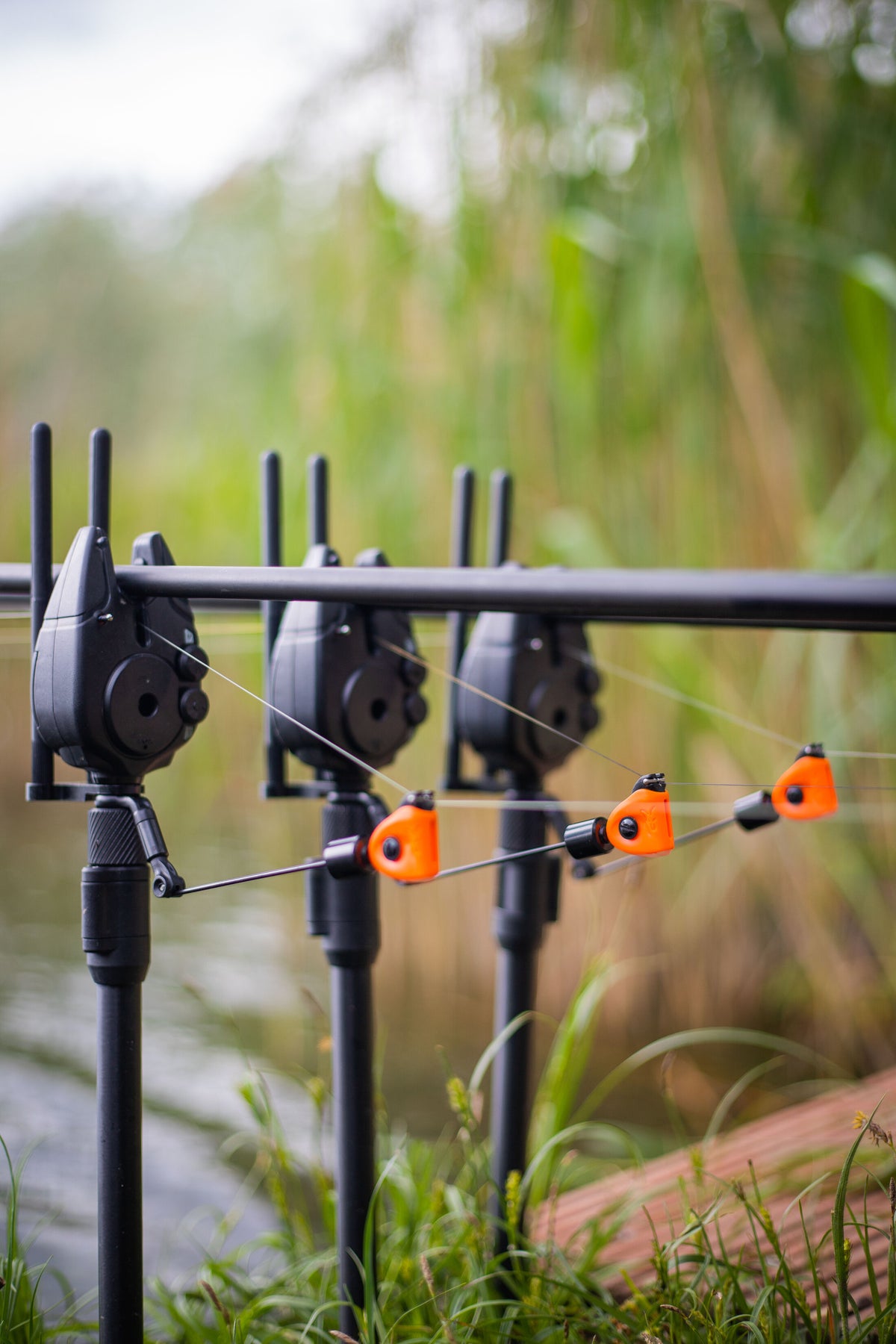 Fox Black Label Mini Swingers
