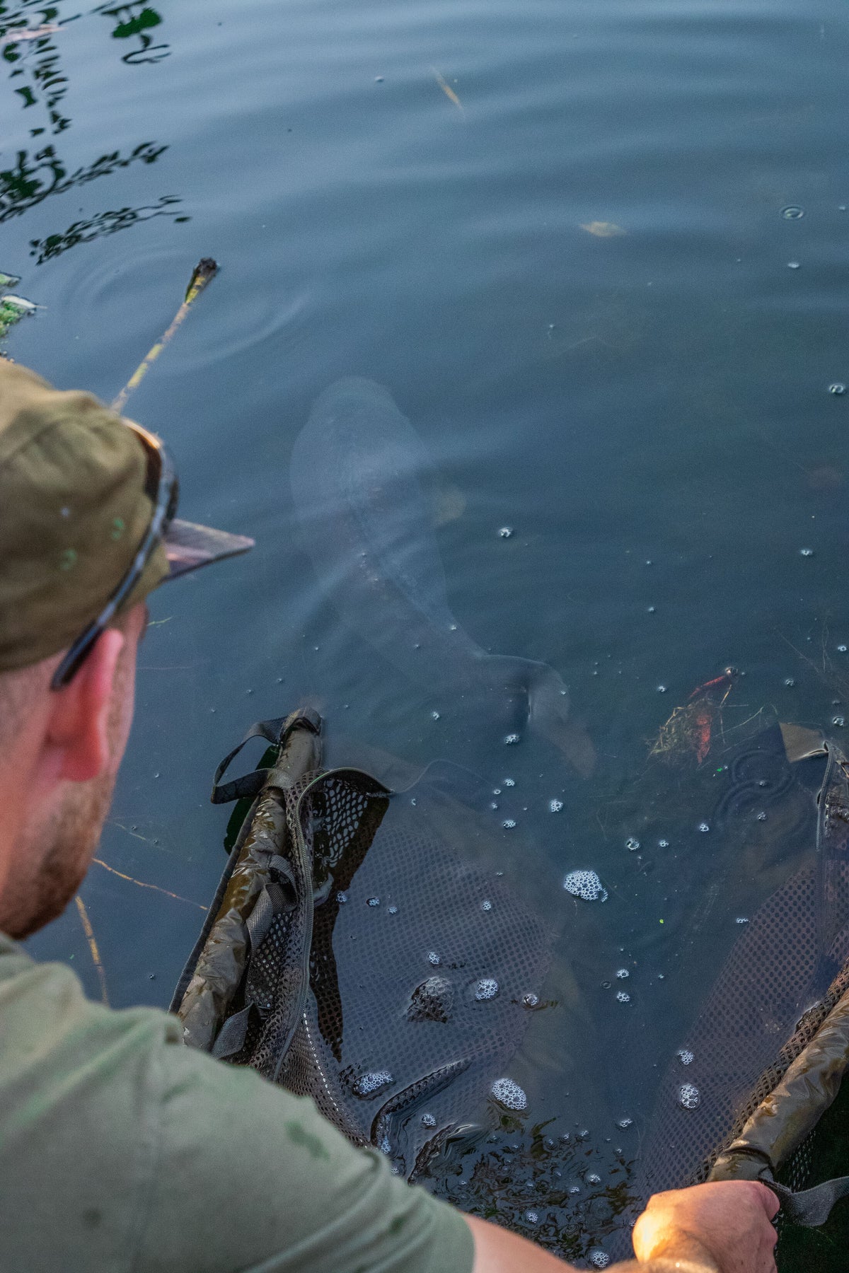 Fox Carpmaster STR Retention Slings