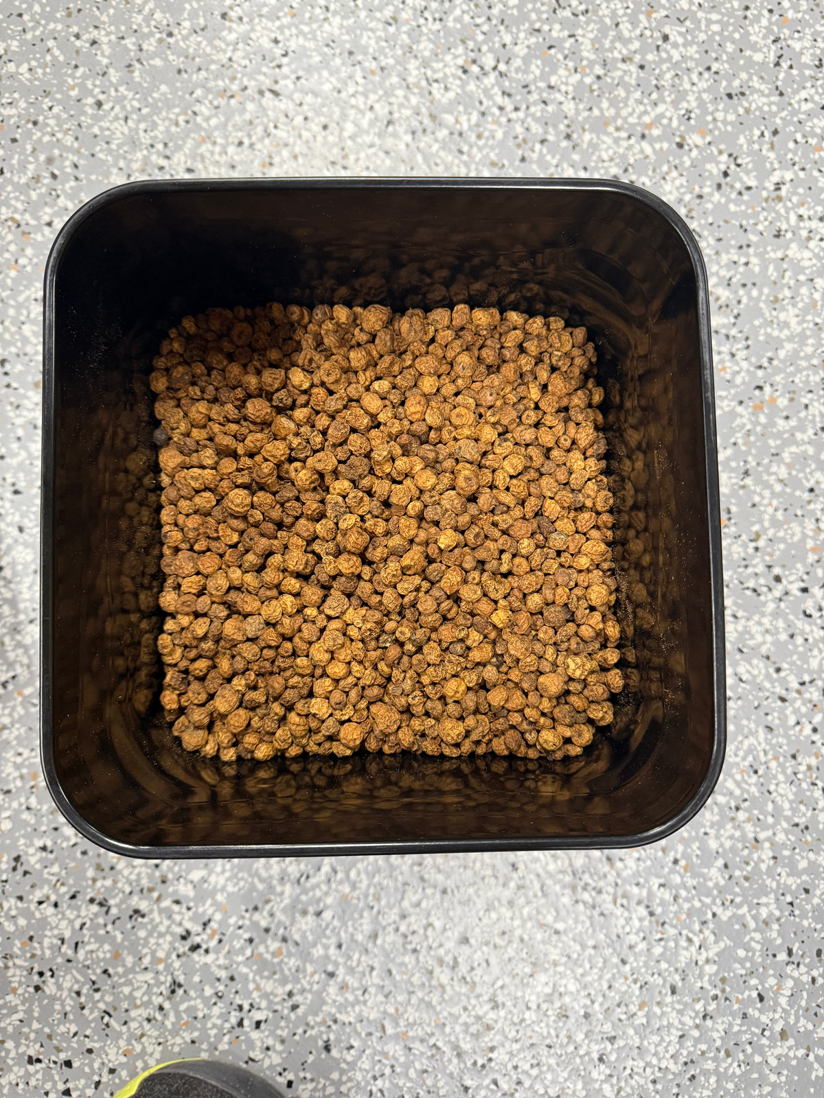 BCT 4 Gallon Bucket 8kg Bait Deal