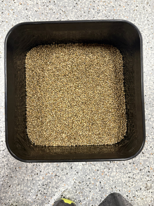 BCT 4 Gallon Bucket 8kg Bait Deal