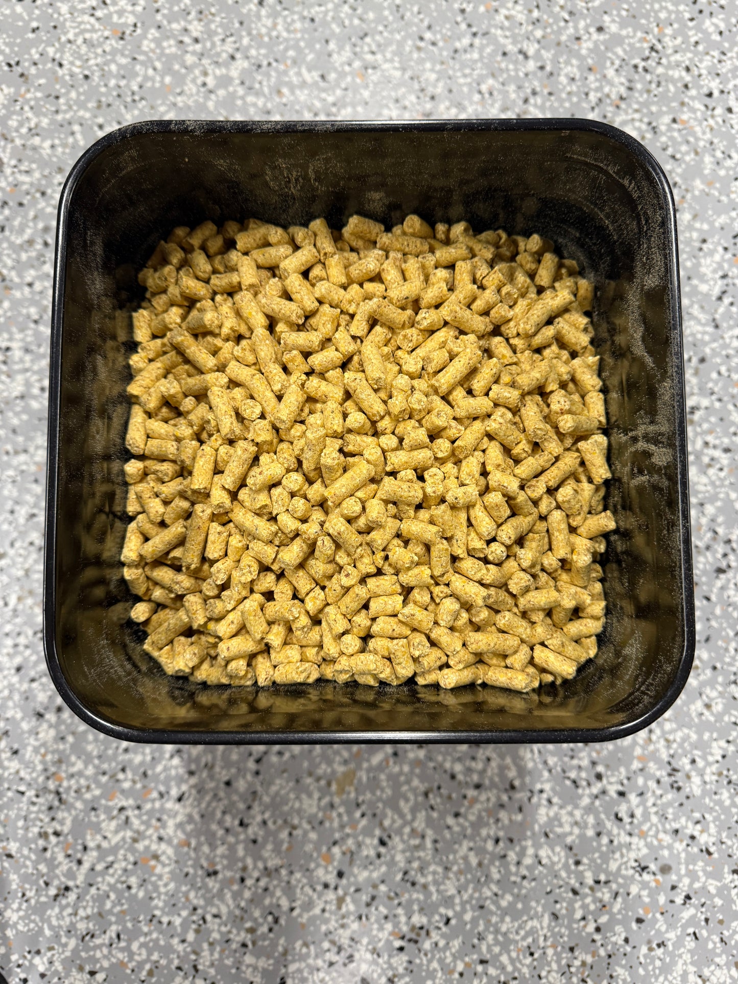 BCT 4 Gallon Bucket 8kg Bait Deal