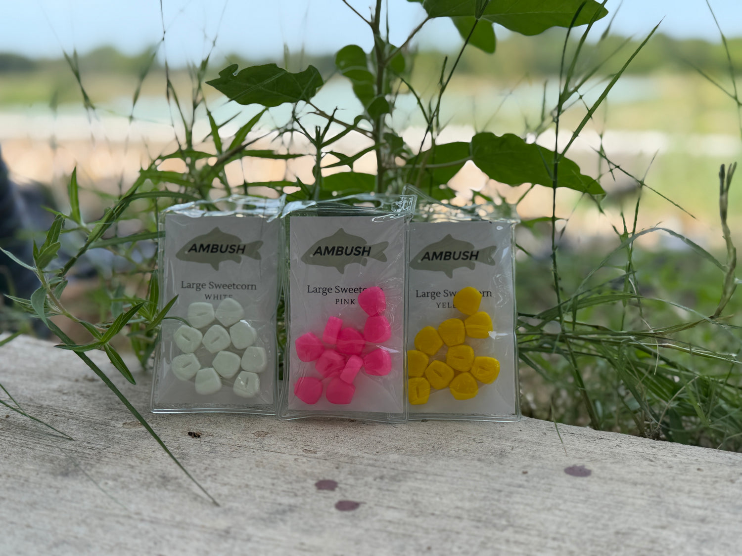 Three small clear plastic packages of Ambush live bait fish, containing white, pink, and yellow bait pieces, displayed outdoors on a stone surface with green grass and foliage in the background.