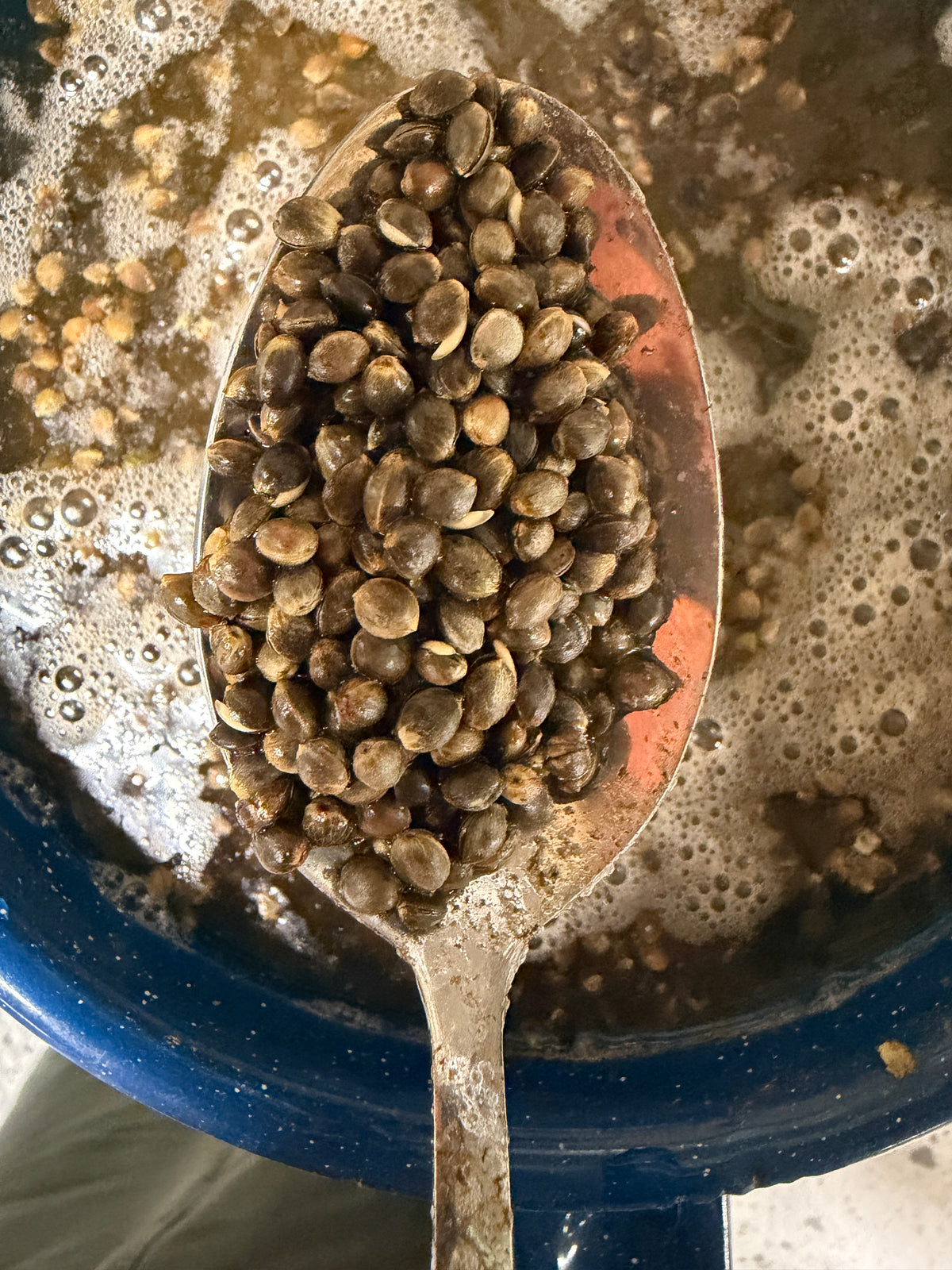 BCT Hemp Grain XL