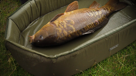 Trakker Self Inflating Carp Cribs