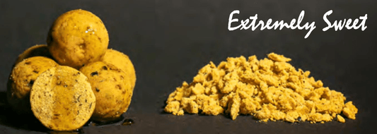 Proline Carp Products Sweet Maggot & Cream Range