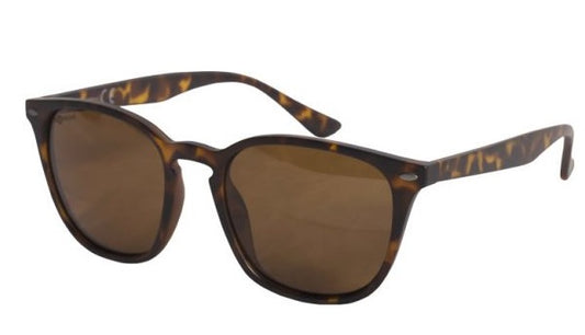 Korda Shoreditch Glasses Matt Tortoise Shell/ Brown Lens