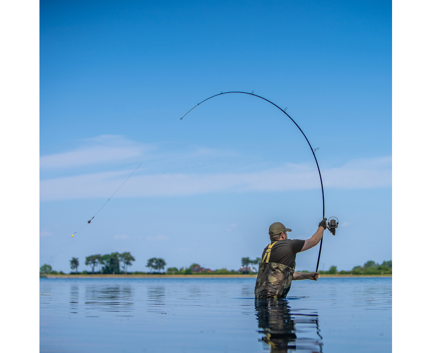 Avid Revolve Carp Rods