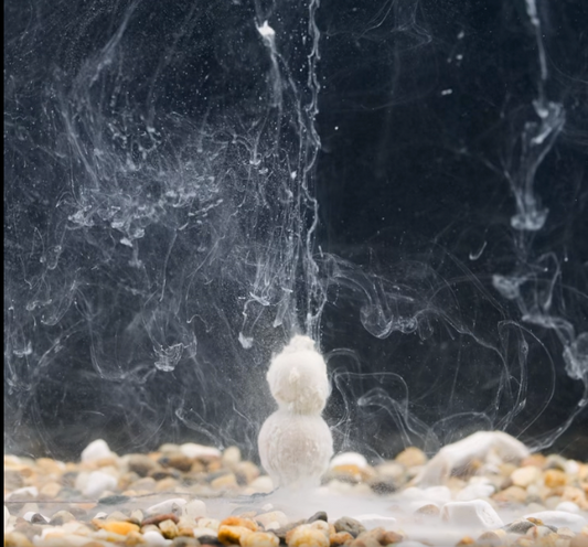 Mainline Baits Smart Dip