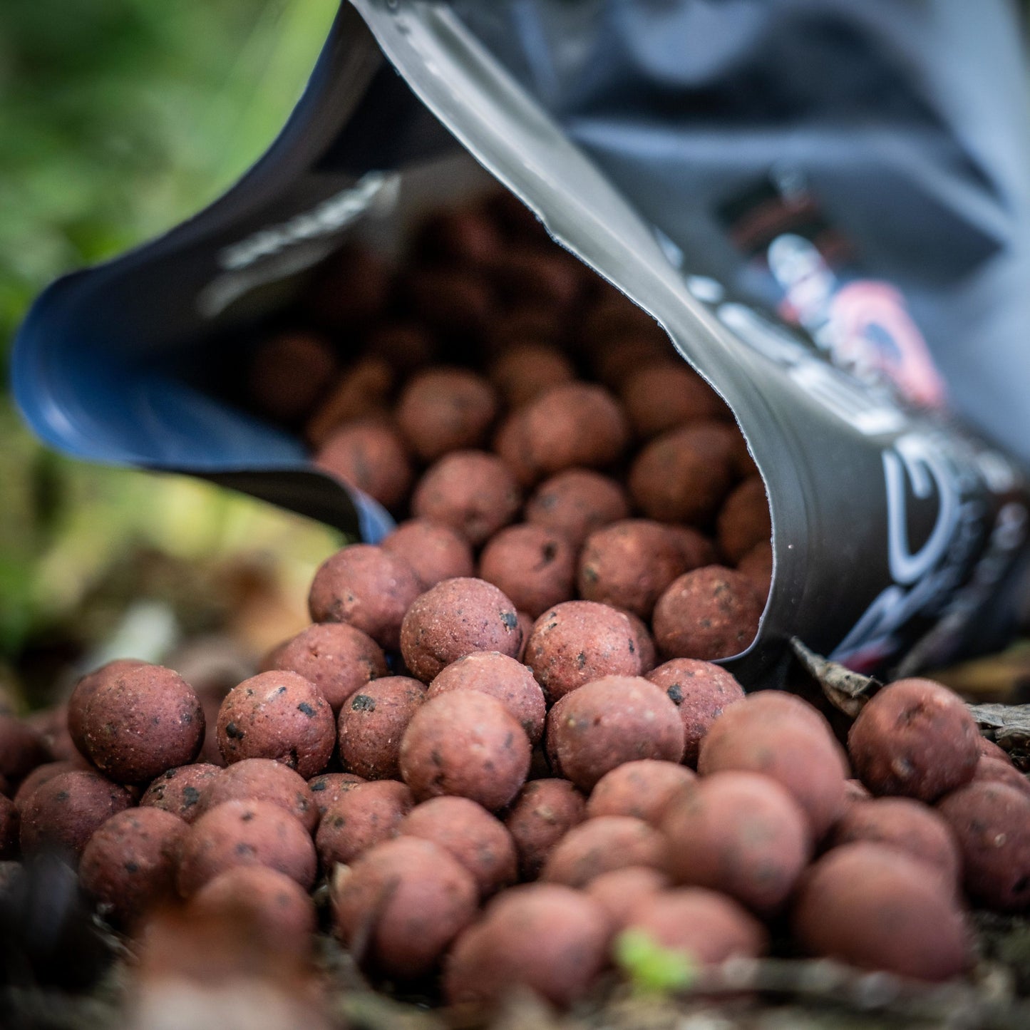 RG Baits Red Sea Squid Range