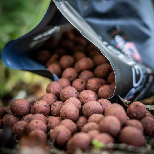 RG Baits Red Sea Squid Range