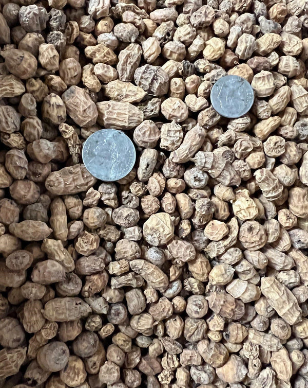 BCT Mixed Tiger Nuts